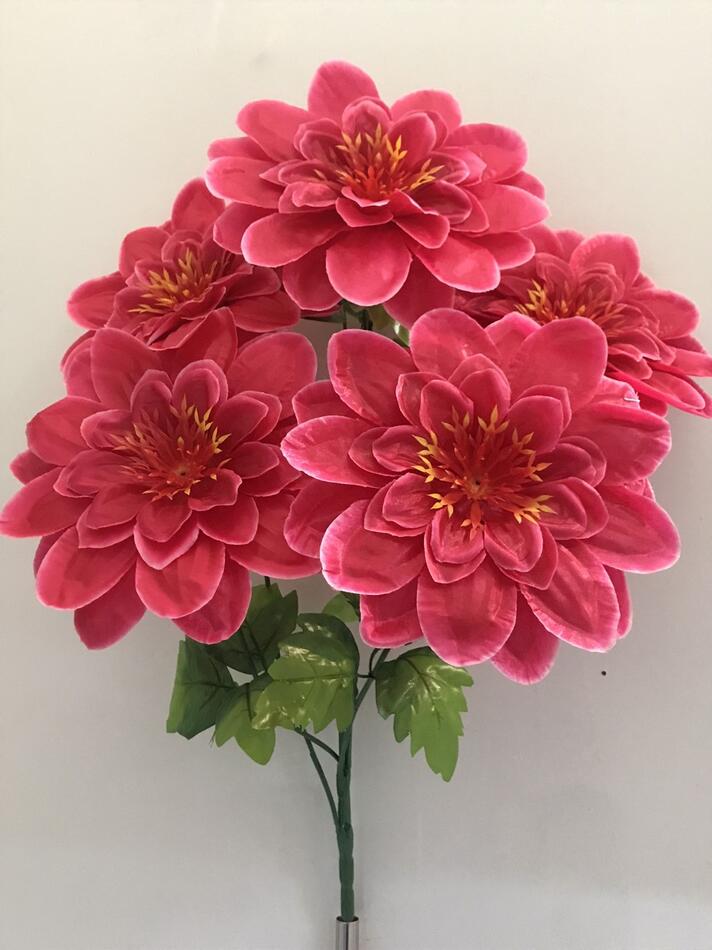 Георгина 5 ка атласная