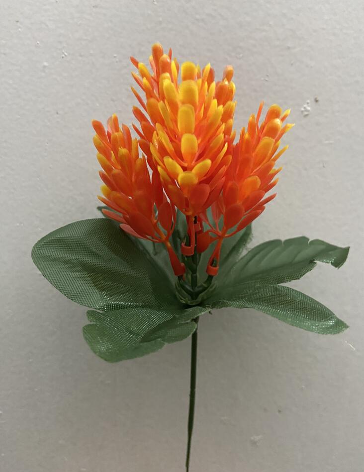 Хмель пластик зал-ка O