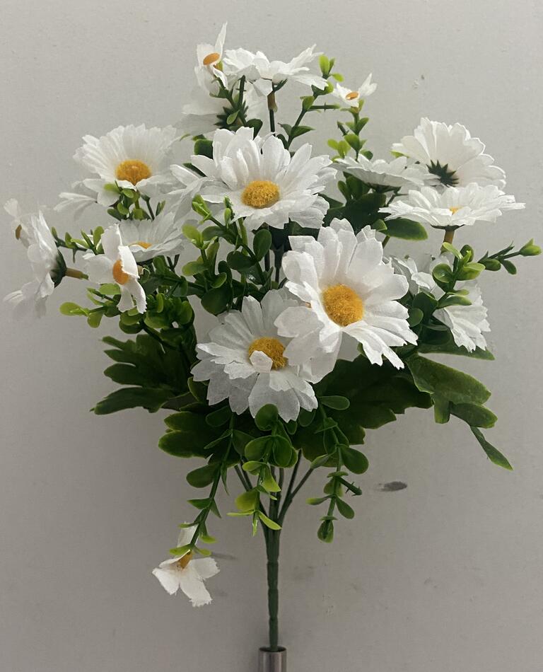 Ромашка мклкая с детками нова