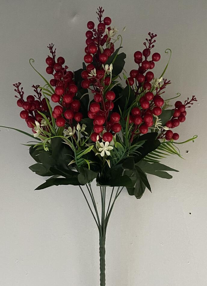 Калина крупна я 10 ка