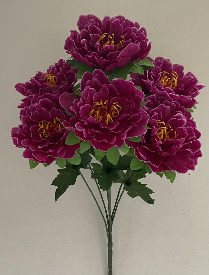 Пион с листом новый 6 ка