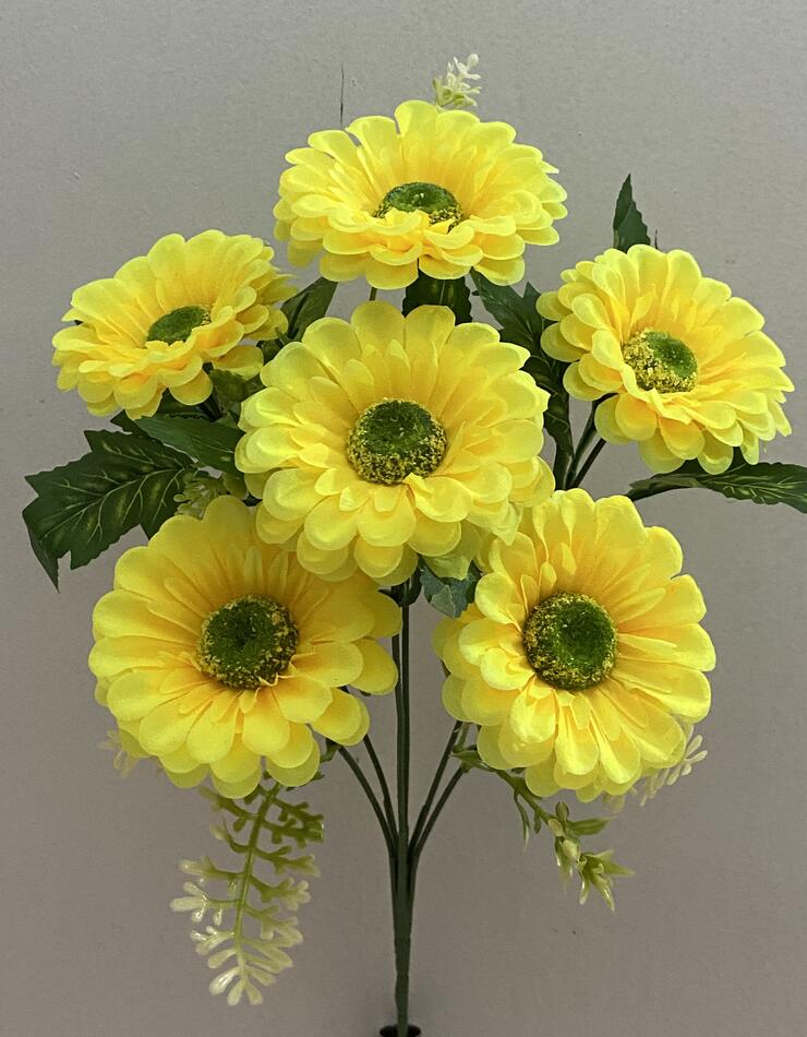 Гербера новая