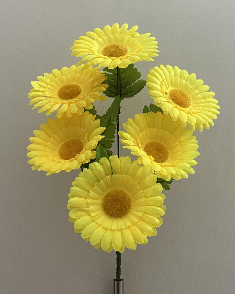 Ромашка 6 ка С+Ж