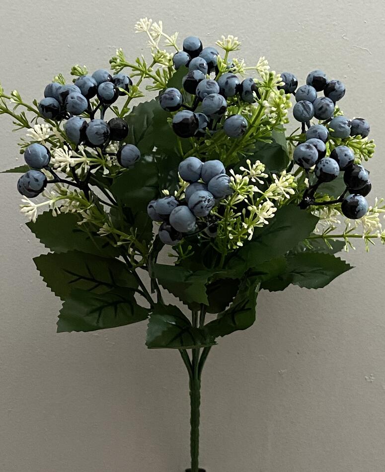 Лохина пластик