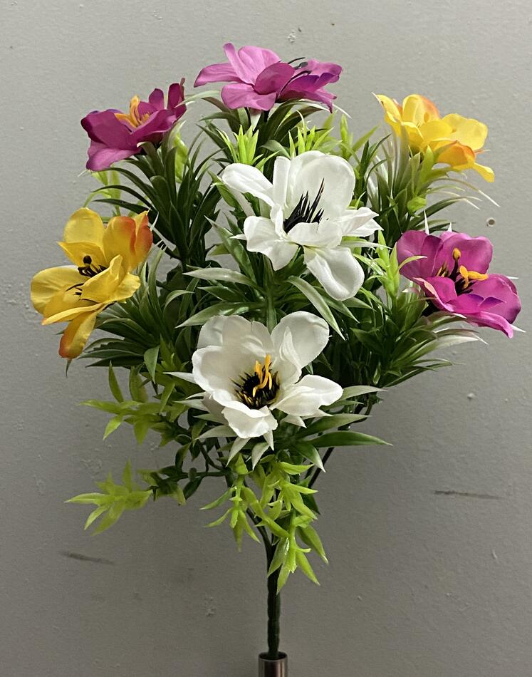 Касмея двухцветная