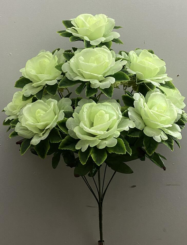 Роза капуста с листом