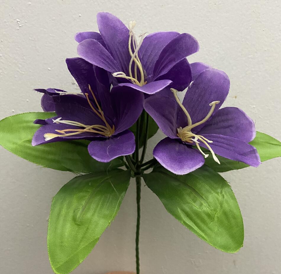 Лилия крупная зал-ка