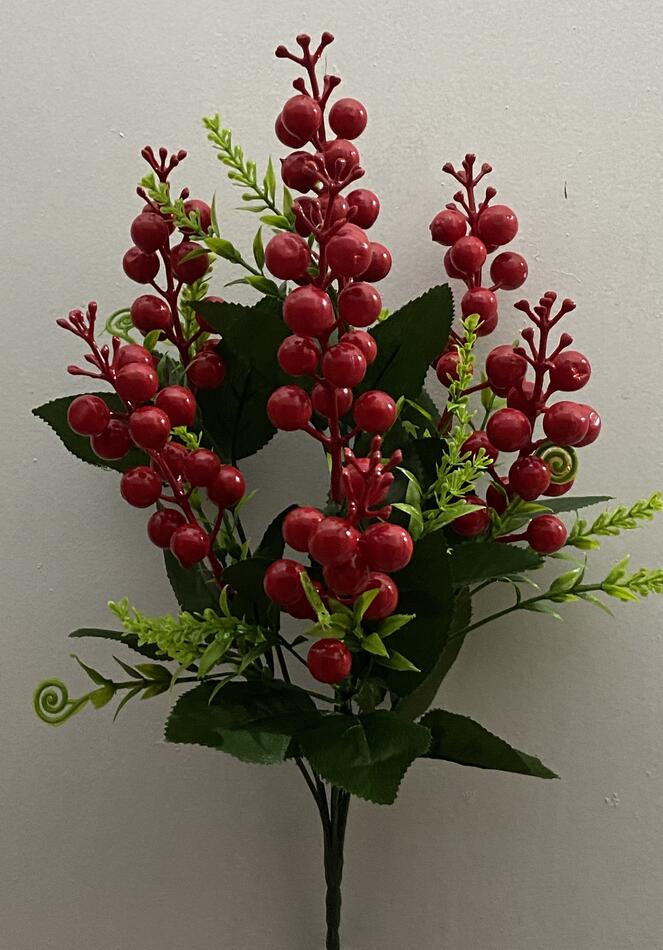 Калина крупная 7 ка