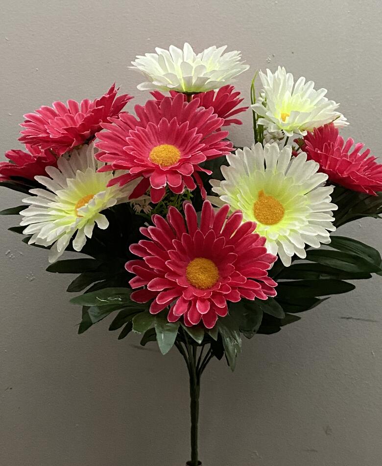 Ромашка дувхцветная с папоротником