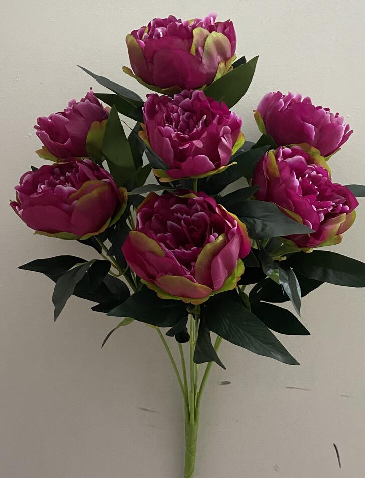 Пион гигант 7 ка