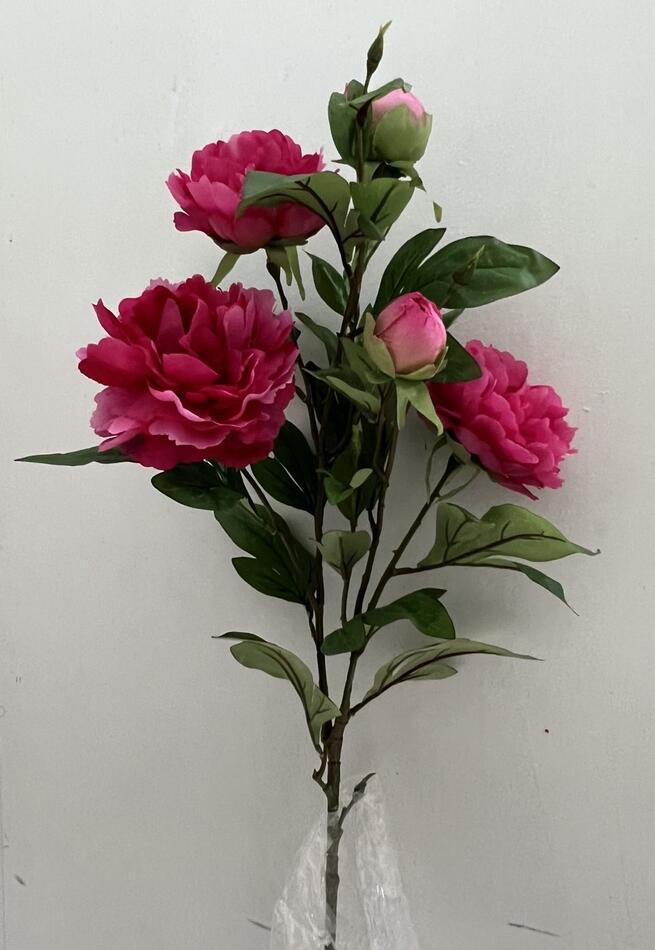 Пион ветка Д-280