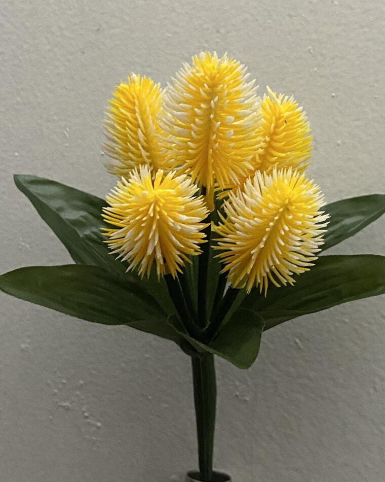 Шишка пластик зал-ка нова