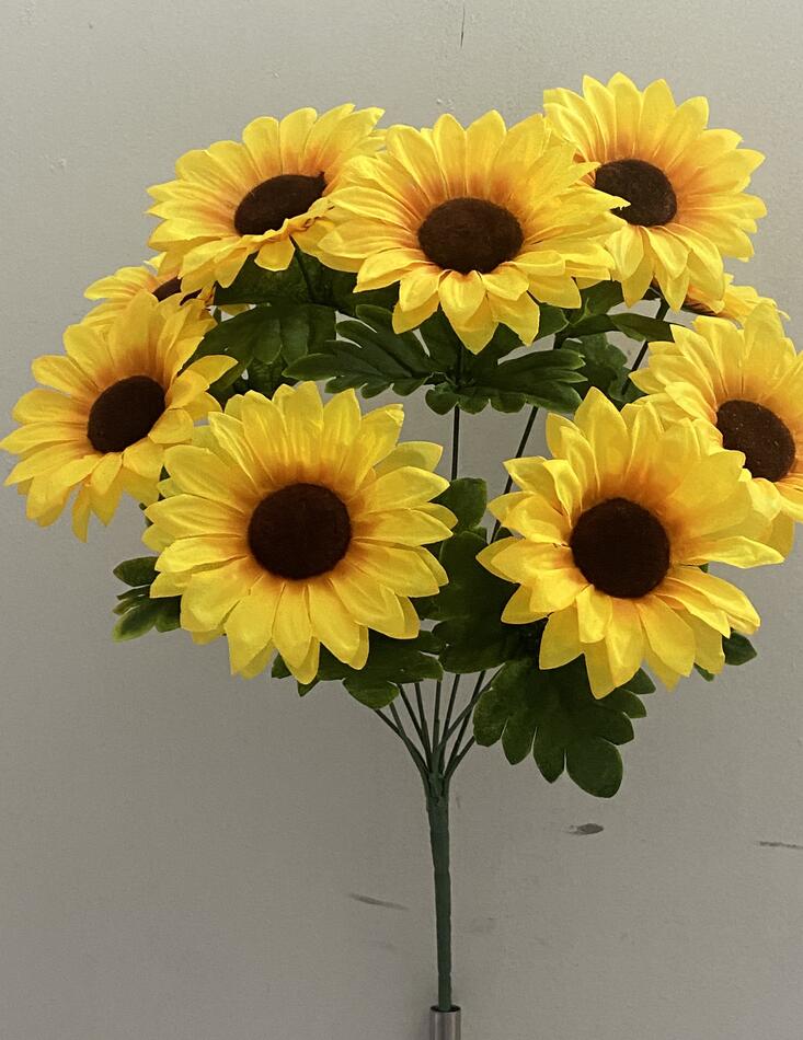 Подсолнух 9 ка