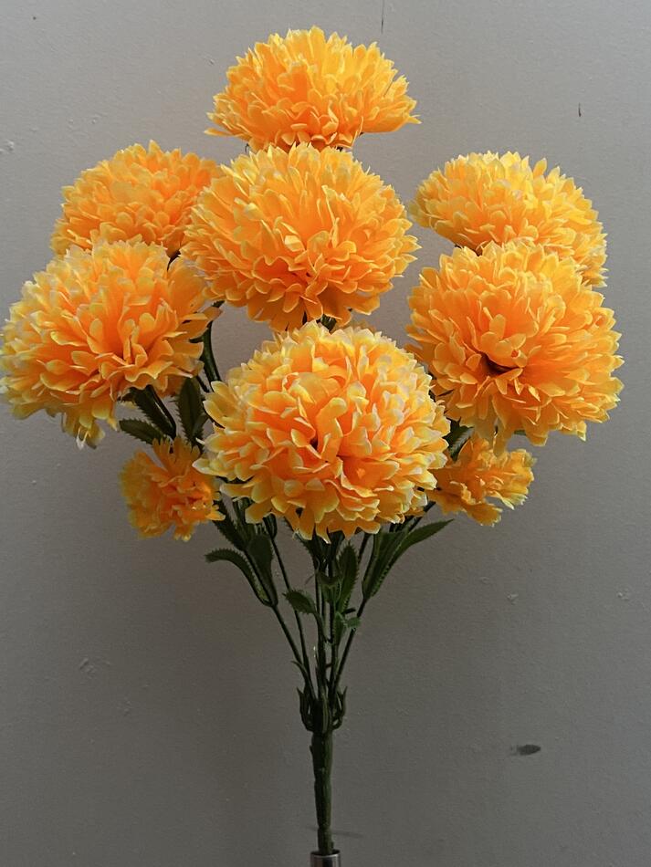 Хризантема с детками нова