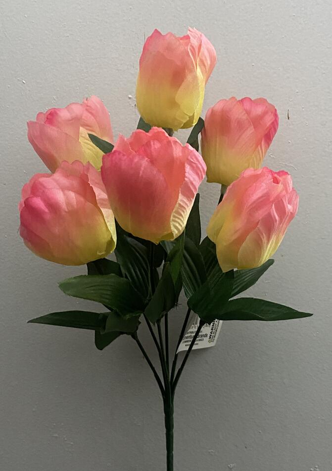 Тюльпан новий О