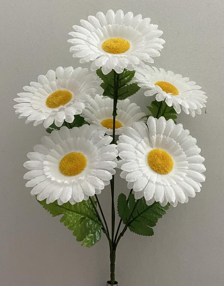 Ромашка 6 ка новая Бела