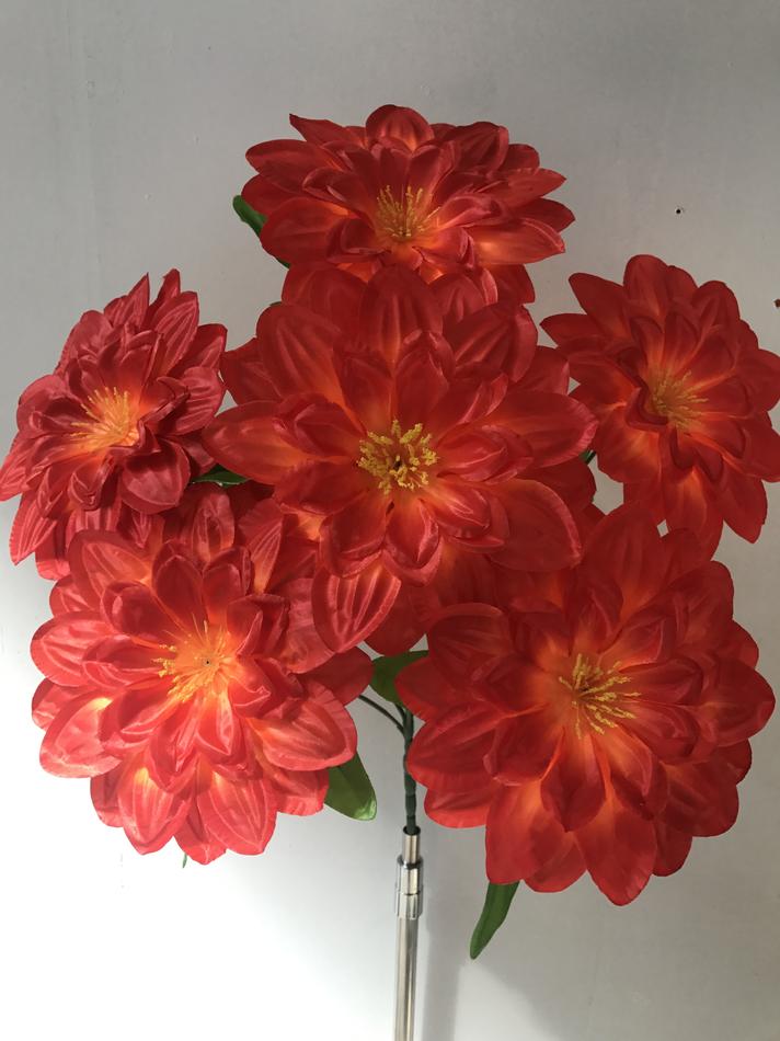 Георгина 6 ка атлас