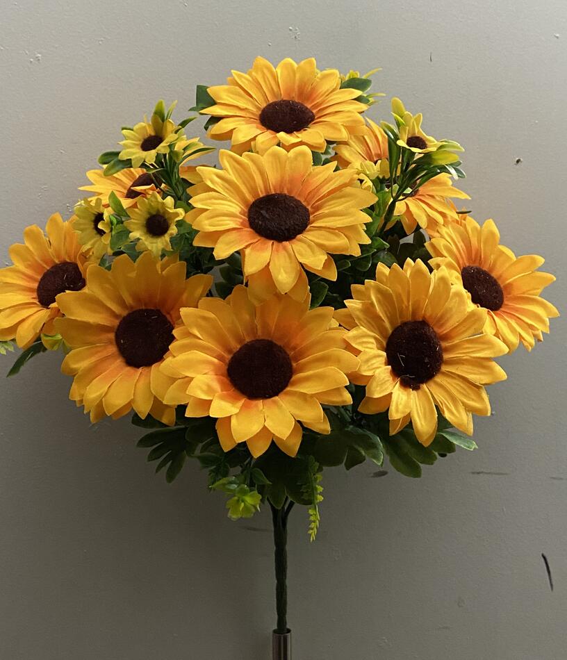 Подсолнух с детками