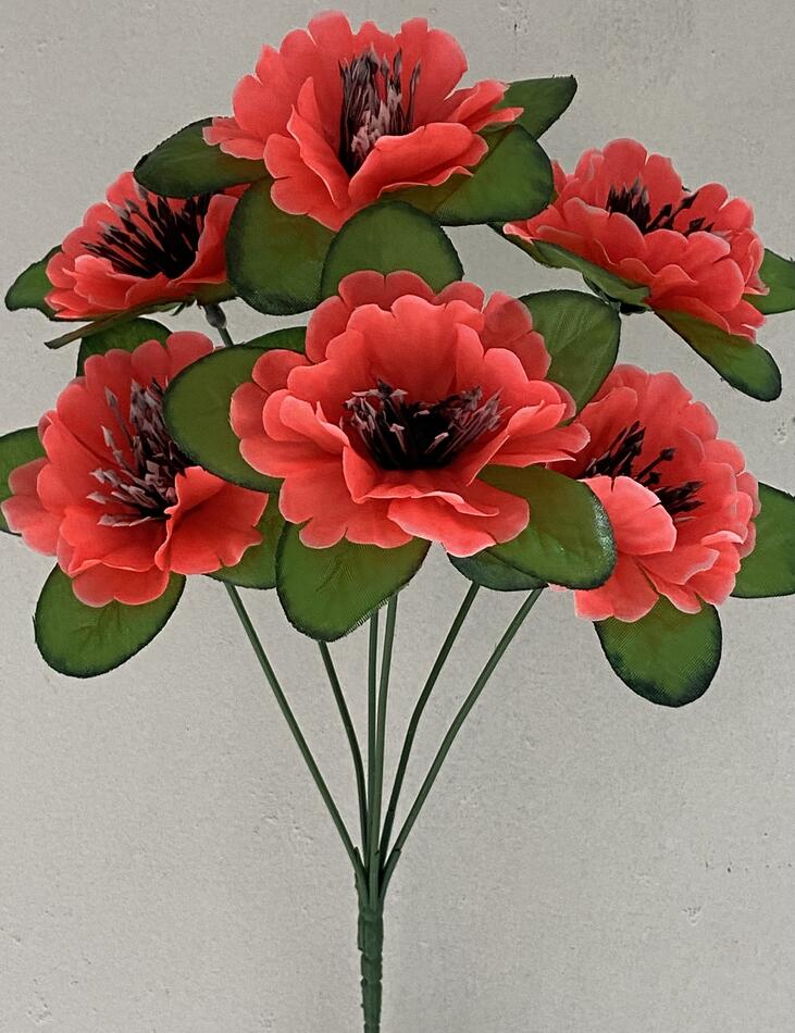 Мак цветной с листом