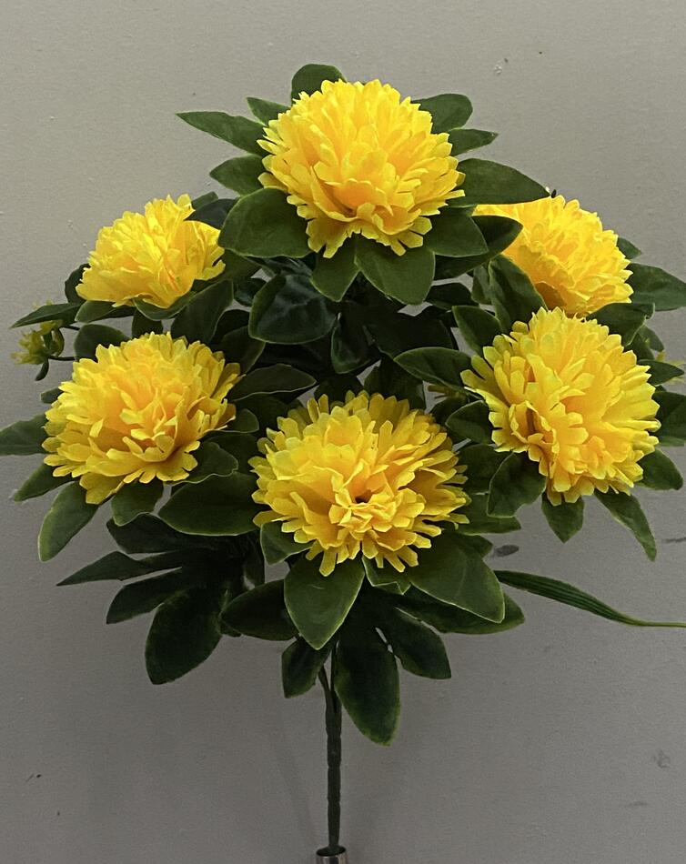 Хризантема мелкая с листом