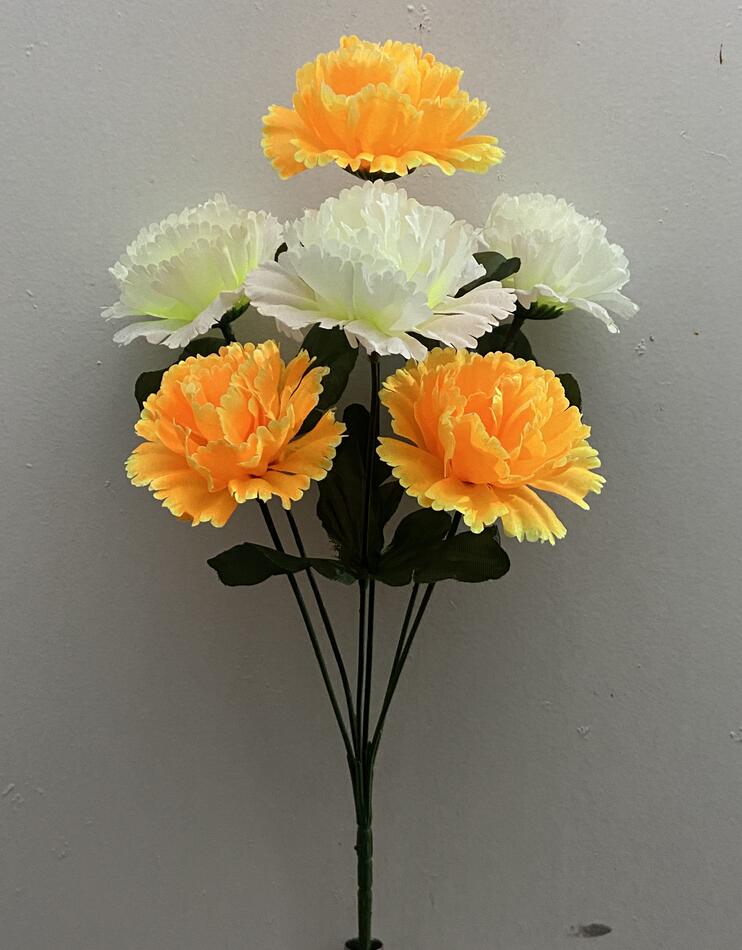 Гвоздика двухцветная новая V