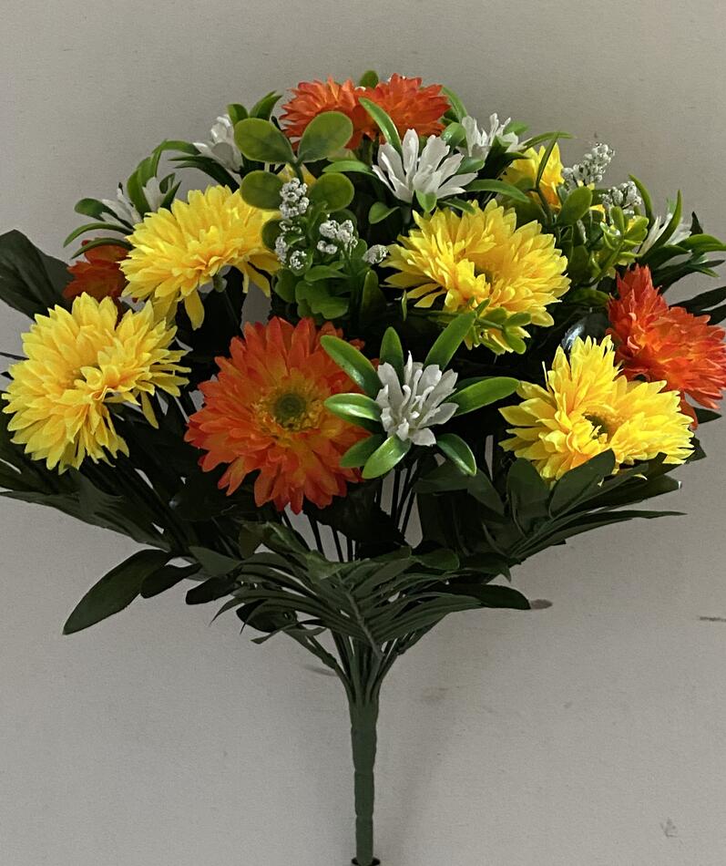 Маргаритка двухцветная S-312