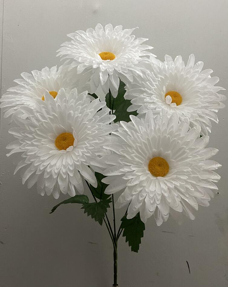 Ромашка гигант 5 ка белая