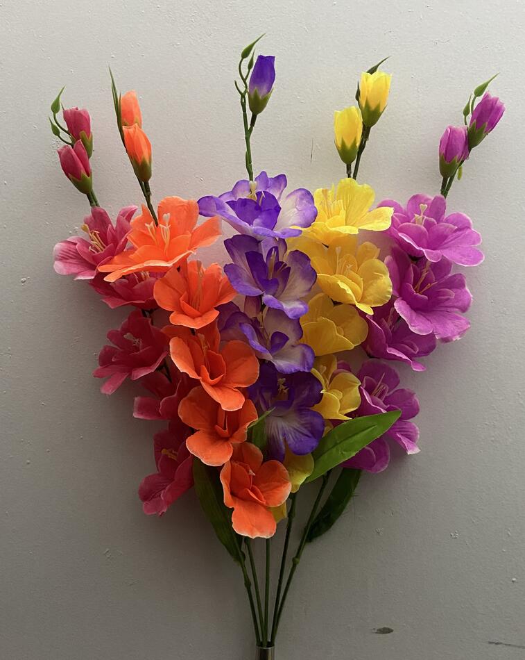 Гладиолус новий