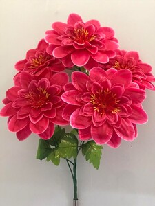 Георгина 5 ка атласная