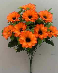 Гербера с добавкой нова