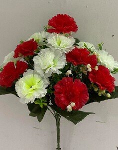 Гвоздика вазон Б+К