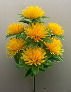 Астра с листом не пресс 7 ка