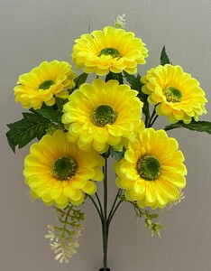 Гербера новая