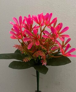 Пролиски зал-ка пластик нова