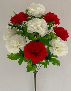 Гвоздика натуральная Б+К