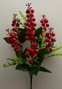 Калина крупная 7 ка