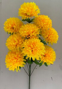 Хризантема баранчик 9 ка новий