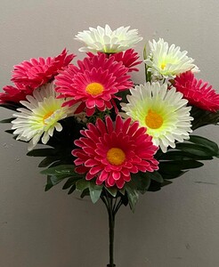 Ромашка дувхцветная с папоротником