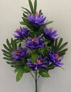 Георгина атласная односторонняя