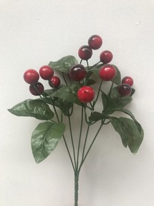 вишня букет