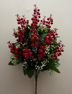 Калина крупная 18 ка