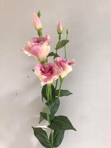 Ветка класса ЛЮКС Эустома Д 86