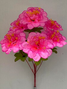 Гербера с серединкой красная ножка