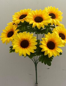 Подсолнух 9 ка