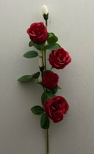 Пионаподная роза