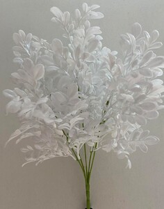 Самшит белий F-199