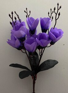 Магнолия кр ножка средня