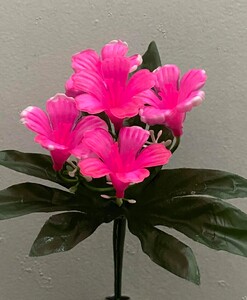 Лилия пластик зал-ка нова