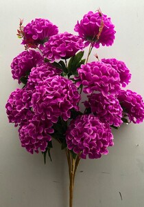 Калинка дерево