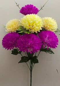Хризантема Двухцветная новая